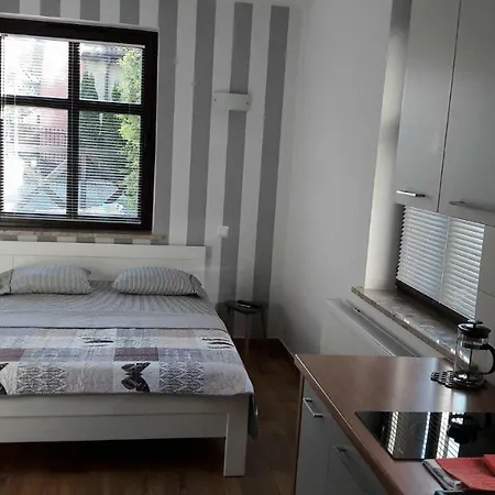 Apartament Morświn *