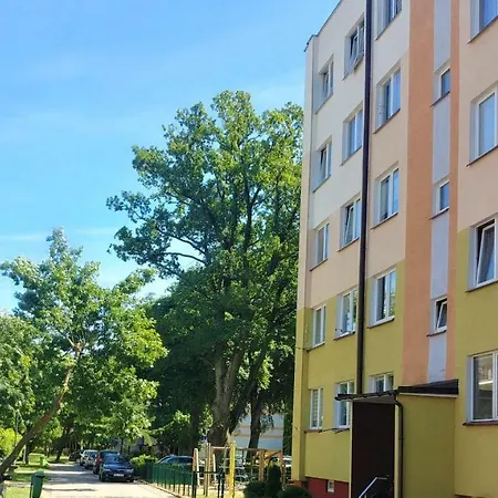 Apartment Apartament Pod Brzozami