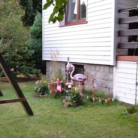 Homestay Bursztynowa Komnata *