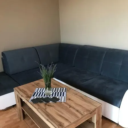 Lily Homestay