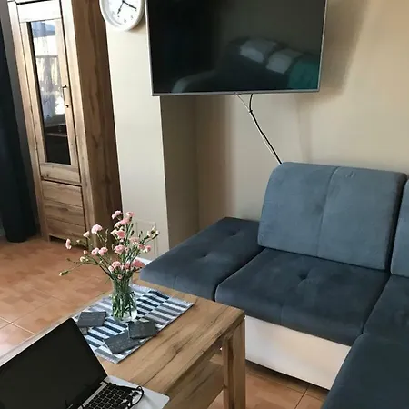 Lily Homestay