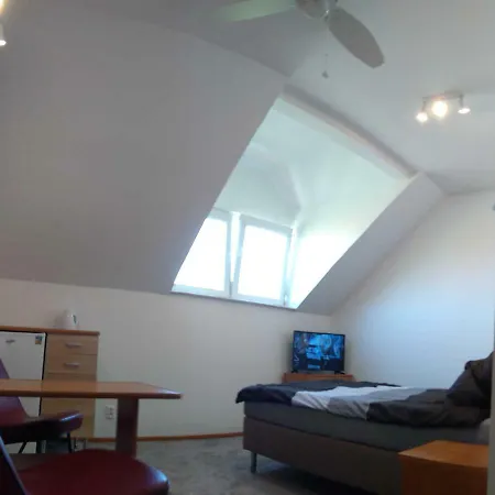 Domus Homestay *