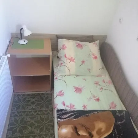 Pokoje Goscinne Pod Delfinkami Homestay