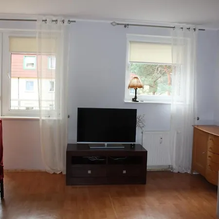 Apartment Sosnowy