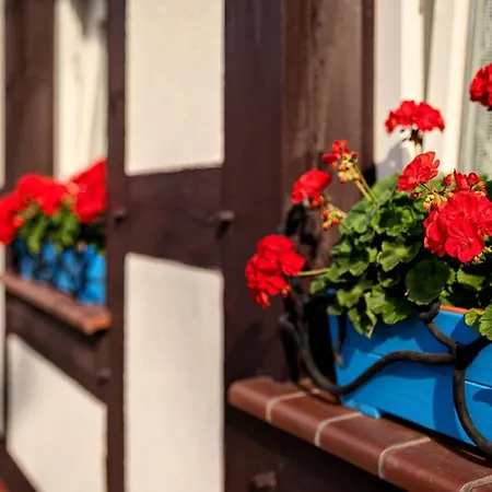 Rybacka Saule Homestay Ustka