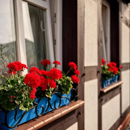 Privatunterkunft Rybacka Saule Stolpmünde