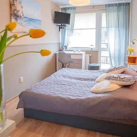 Homestay Koga